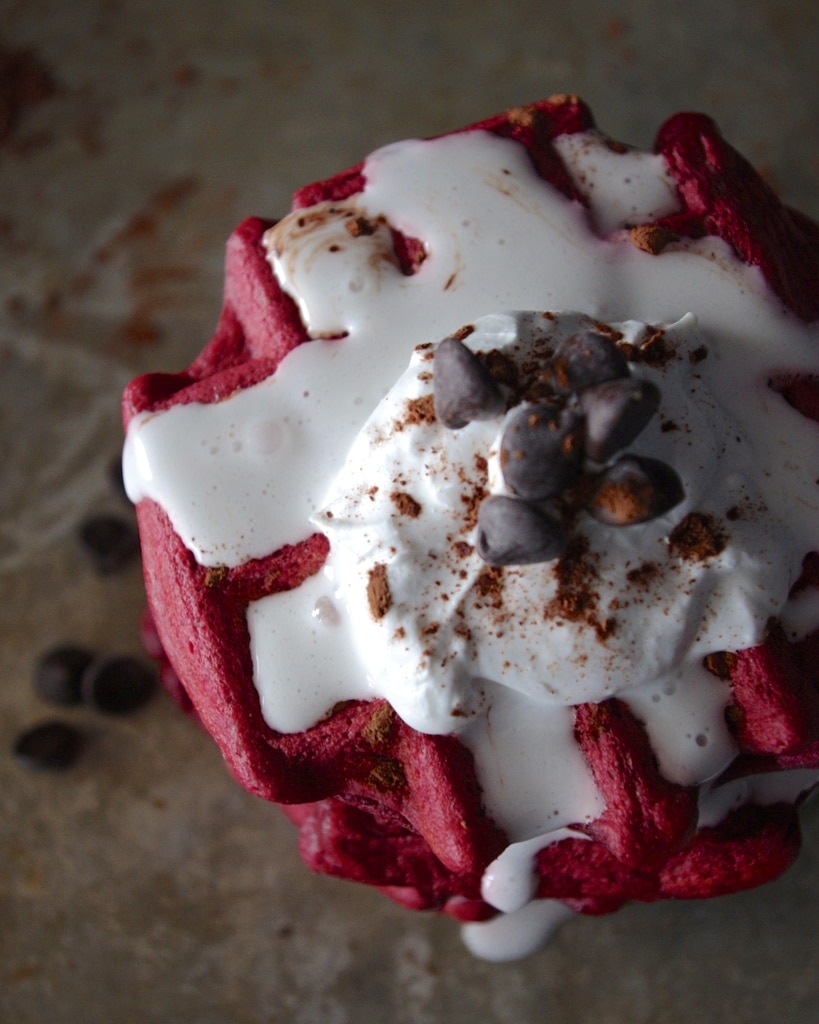 Healthy Red Velvet Waffles with Coconut Whipped Cream via Nutritionist in the Kitch! // Vegan, gluten free, super delicious, and still healthy - the perfect Valentine's Day breakfast-in-bed! // nutritionistinthekitch.com