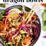 Healthy Dragon Bowls pin 1