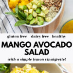 Easy Mango Avocado Salad