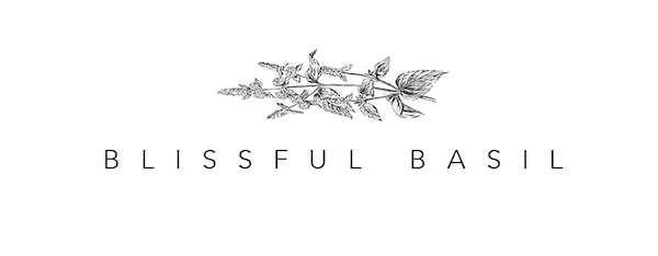 15+ Best Plant Based Blogs List - Blissful Basil
