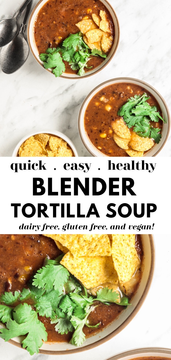 Easy Blender Vitamix Tortilla Soup photo collage