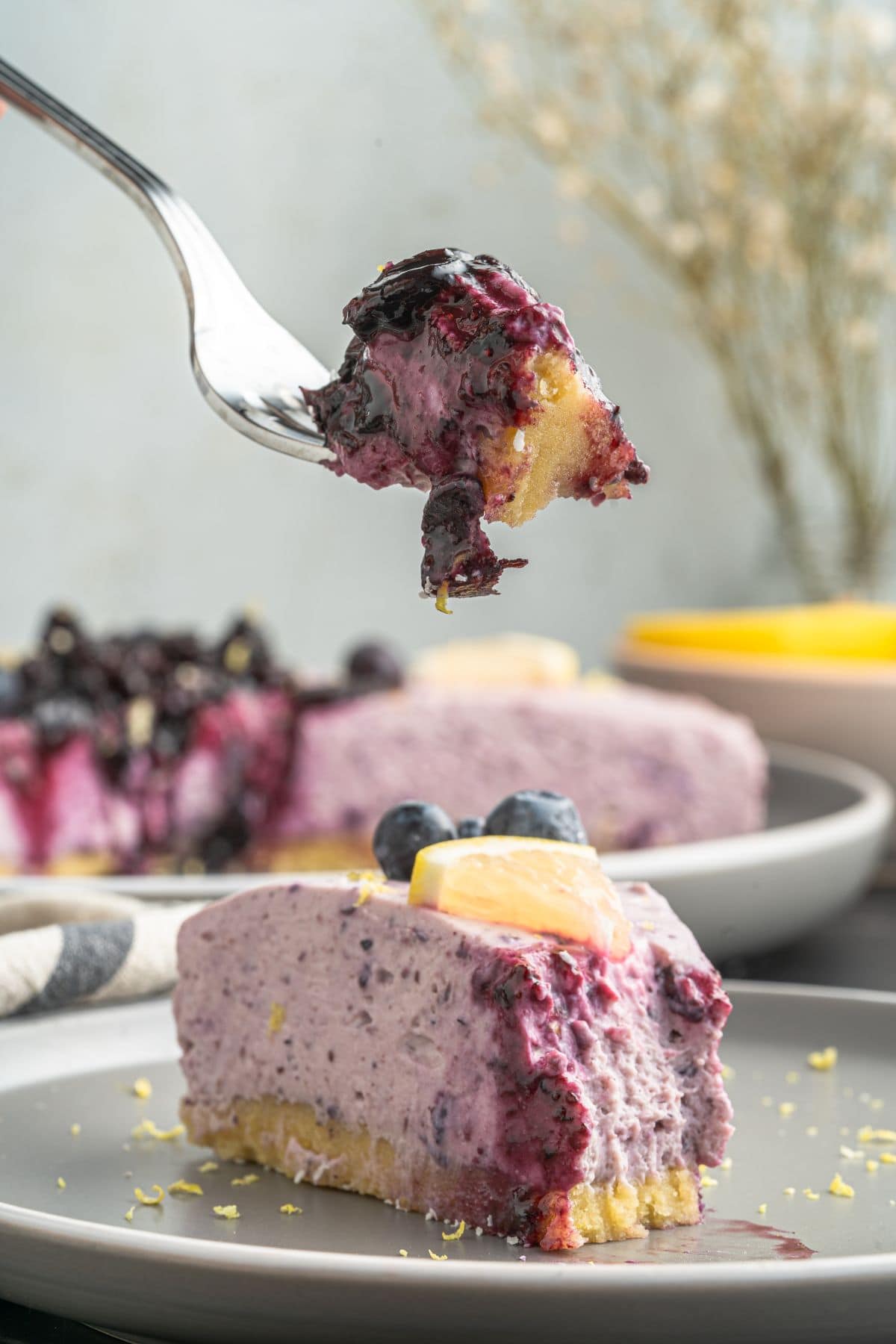 No-bake Blueberry Cheesecake 16