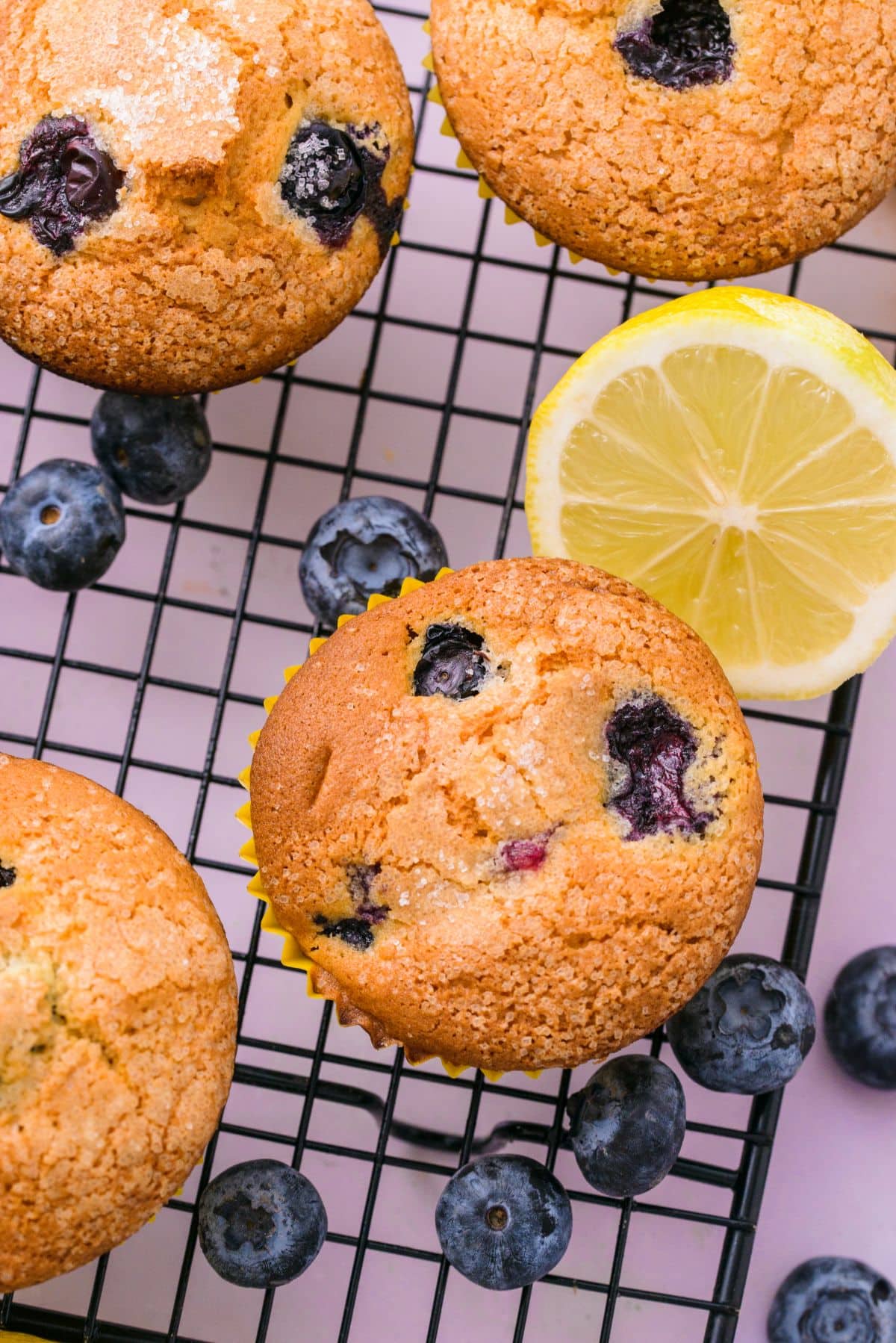 Lemon blueberry muffins 1