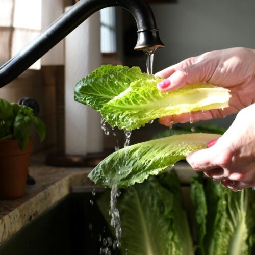 Washing a Whole Head of Lettuce Isn't Enough Dirt Can Stay Hidden Between the Leaves