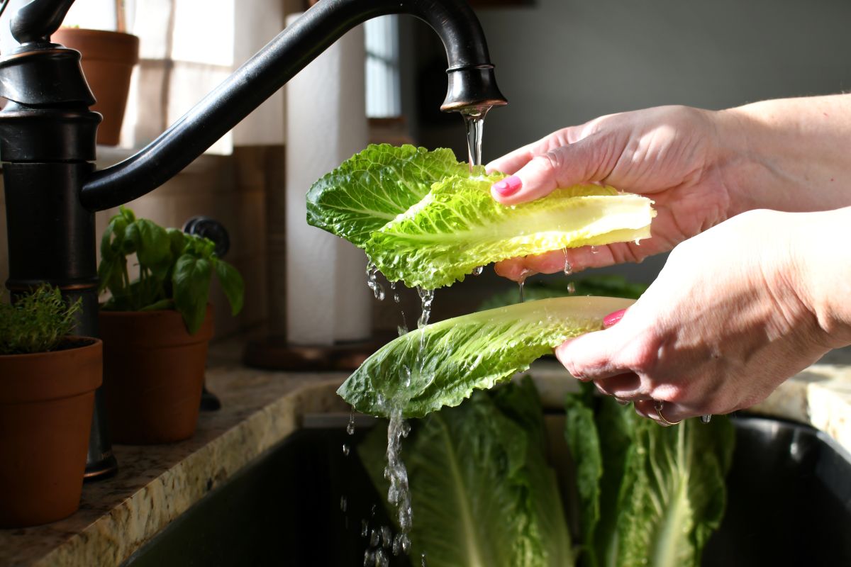 Washing a Whole Head of Lettuce Isn't Enough Dirt Can Stay Hidden Between the Leaves